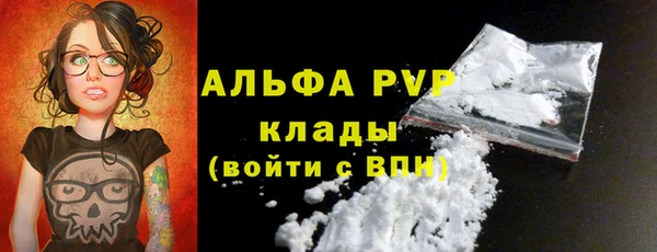сатива Елизово