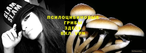 MESCALINE Ельня