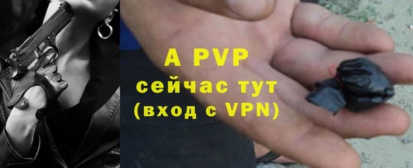 сатива Елизово