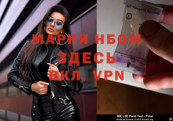 сатива Елизово